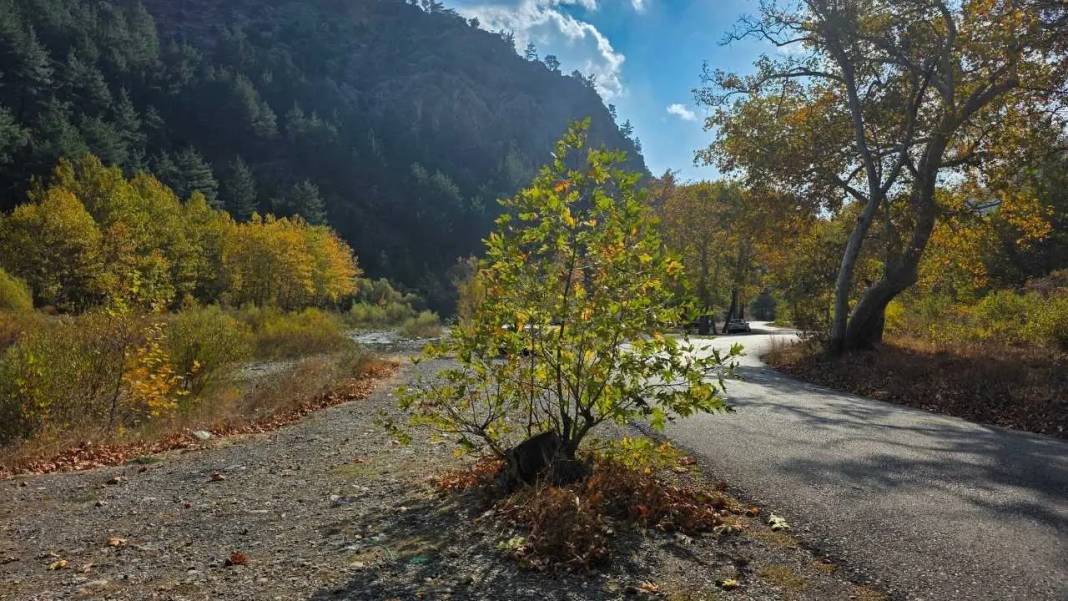 Adana’da Sonbahar Büyüsü: Kartpostalları Aratmayan Görüntüler! 3